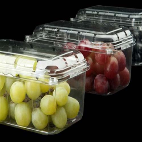 Posudice 500gr clamshell - Panonska INT