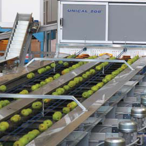 Sortiranje jabuka - Masine za sortiranje - Panonska INT