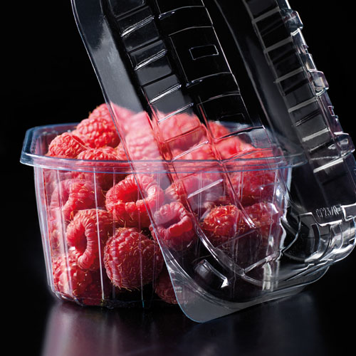 Posudice 250gr clamshell - Panonska INT